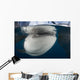 Close-up Whale Shark Breaching Horizontal Wall Decal