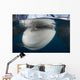 Close-up Whale Shark Breaching Horizontal Wall Decal