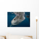 Large Whale Shark Coming to Surface Wall Decal