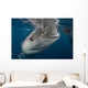 Large Whale Shark Coming to Surface Wall Decal