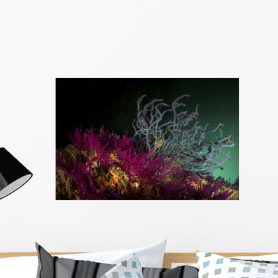 Brightly Colored Soft Coral Wall Decal shown on a wall