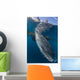 Whale Shark Swimming Life Side Wall Decal