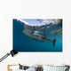Whale Shark with Remora Horizontal Wall Decal