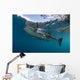 Whale Shark with Remora Horizontal Wall Decal