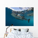 Whale Shark with Remora Horizontal Wall Decal