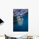 Whale Shark Swimming Jaw Wall Decal