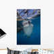 Whale Shark Swimming Jaw Wall Decal