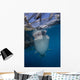 Whale Shark Swimming Jaw Wall Decal