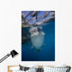 Whale Shark Swimming Jaw Wall Decal