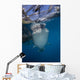 Whale Shark Swimming Jaw Wall Decal