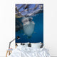 Whale Shark Swimming Jaw Wall Decal