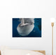 Large Whale Shark Coming Horizontal Wall Decal