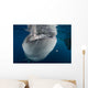 Large Whale Shark Coming Horizontal Wall Decal