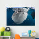 Close-up Whale Shark Breaching Jaw Wall Decal