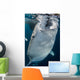 Large Whale Shark Coming Wall Decal