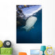 Whale Shark Swimming Vertical Wall Decal