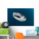 Whale Shark Coming up Wall Decal