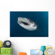 Whale Shark Coming up Wall Decal