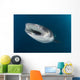 Whale Shark Coming up Wall Decal