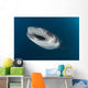 Whale Shark Coming up Wall Decal