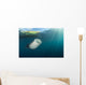 Whale Shark Coming up to Surface Wall Decal
