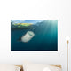 Whale Shark Coming up to Surface Wall Decal