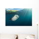 Whale Shark Coming up to Surface Wall Decal