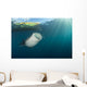 Whale Shark Coming up to Surface Wall Decal