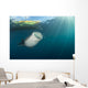 Whale Shark Coming up to Surface Wall Decal