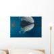 Whale Shark with Remora Wall Decal