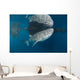 Whale Shark with Remora Wall Decal