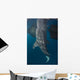 Whale Shark with Head Wall Decal