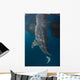 Whale Shark with Head Wall Decal