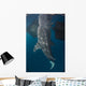 Whale Shark with Head Wall Decal