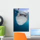 Close-up Whale Shark Breaching Front Wall Decal