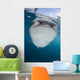Close-up Whale Shark Breaching Front Wall Decal