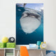Close-up Whale Shark Breaching Front Wall Decal