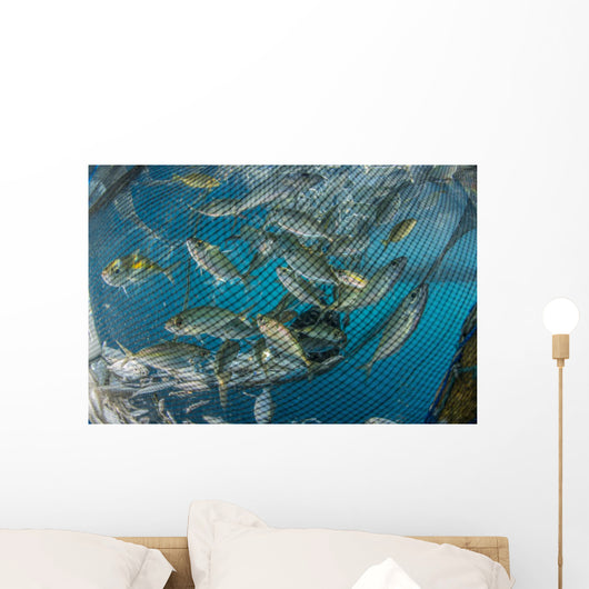 Fishing Net with Silvery Close-up Wall Decal
