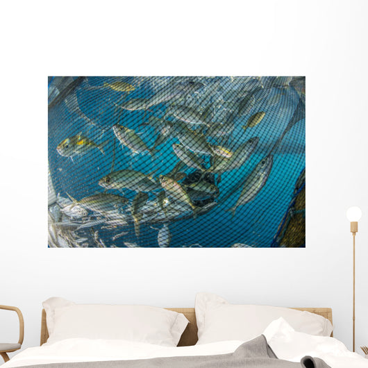 Fishing Net with Silvery Close-up Wall Decal