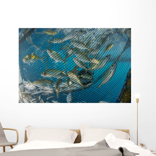 Fishing Net with Silvery Close-up Wall Decal