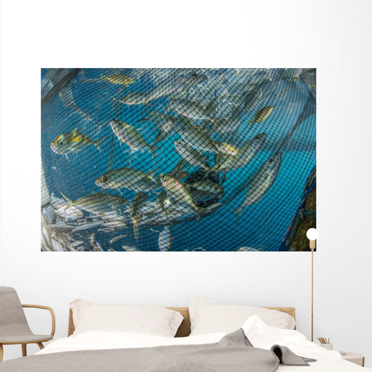 Fishing Net with Silvery Close-up Wall Decal