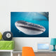 Whale Shark Swimming Horizontal Wall Decal
