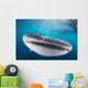 Whale Shark Swimming Horizontal Wall Decal