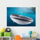 Whale Shark Swimming Horizontal Wall Decal