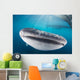Whale Shark Swimming Horizontal Wall Decal