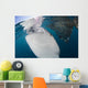 Close-up Whale Shark Breaching Left Wall Decal