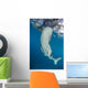 Whale Shark Swimming Towards Surface Wall Decal