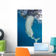 Whale Shark Swimming Towards Surface Wall Decal
