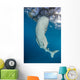Whale Shark Swimming Towards Surface Wall Decal