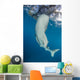 Whale Shark Swimming Towards Surface Wall Decal